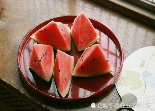 沙瓜啥时候可以吃啊视频,沙瓜最佳食用时间揭秘 沙瓜啥时候可以吃啊视频,沙瓜最佳食用时间揭秘