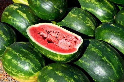 吃瓜视频素材下载网站大全,一网打尽热门下载网站大全 吃瓜视频素材下载网站大全,一网打尽热门下载网站大全