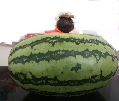 大家吃瓜的视频在哪里看的,各大平台热门聚集地大揭秘 大家吃瓜的视频在哪里看的,各大平台热门聚集地大揭秘