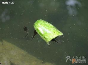 旅游景区吃瓜视频大全