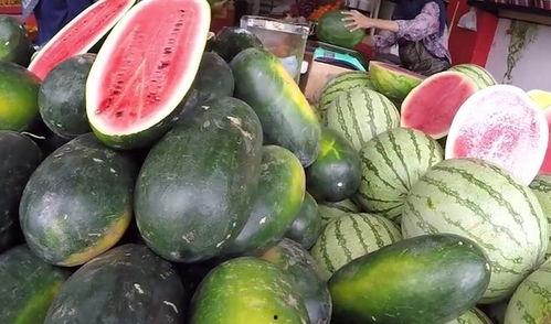 中国吃瓜视频大全集,揭秘网络热点背后的故事与笑料