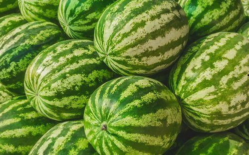 拍的吃瓜视频发哪里找素材