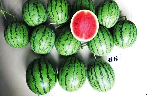 南宁本地吃瓜事件真相视频,揭秘背后真相与网络舆论风暴