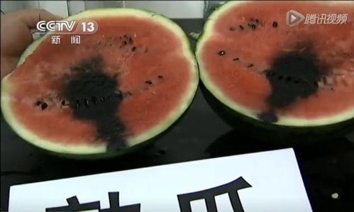 郓城吃瓜爆料视频